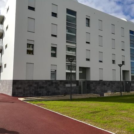 Casa Do Kiko Daire Ponta Delgada Dış mekan fotoğraf